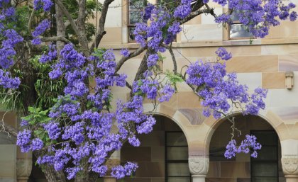 UQ's research will benefit Queensland and have global impact UQ's research will benefit Queensland and have global impact